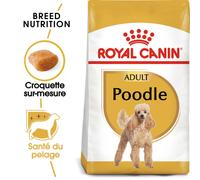 Royal Canin Poodle Adult 1,5 kg Adulte