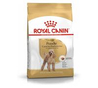 Royal Canin Poodle Adult | 3 kg | Nourriture sèche pour Poodle Adulte | pour Soutenir Le Pelage et Le Tonus Musculaire | pour Chiens à partir de 10 Mois