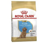 Royal Canin Poodle Puppy | 3 kg | Alimentation complète pour chiots Caniches | Jusqu’à 10 mois | Pour soutenir les défenses naturelles & la qualité du pelage | Avec Oméga-3 & antioxydants