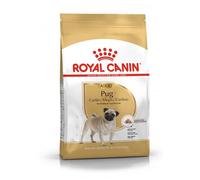 Royal Canin Pug | 1,5 kg | Croquettes pour carlins adultes | Pour soutenir le pelage et la digestion | Pour chiens dès l’âge de 10 mois