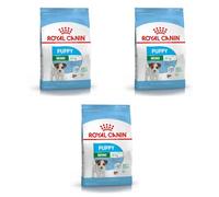 ROYAL CANIN Puppy Mini | Pack de 3 | 3 x 800 g | Nourriture sèche pour Chiens | Aliment Complet pour Chiens | pour Les Petits Chiots (Poids Final : jusqu'à 10 kg) - Jusqu'à 10 Mois