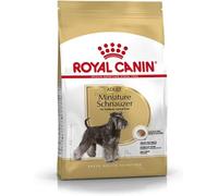 Royal canin race Schnauzer croquette pour chien