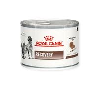 Royal Canin – Vet Dog/Cat Recovery Nourriture pour chien – 195 g