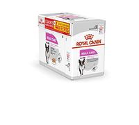 Royal Canin Relax Care Mousse | 12 x 85 g | Alimento Completo Para Perros adultos | Para Perros a partir de 10 Meses de edad Que viven en Un entorno inquieto
