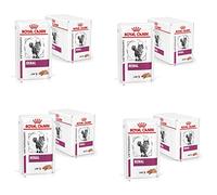 Royal Canin Renal Mousse pour Chats | Pack de 4 | 4 x 12 x 85 g | Aliment Complet diététique pour Chats Adultes souffrant de Troubles rénaux | avec Faible teneur en phosphore
