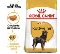 Royal Canin Rottweiler Adult Croquettes pour Chien 12kg