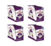 Royal Canin Sensory Feel Gelée | Pack de 4 | 4 x 12 x 85 g | Aliment Complet pour Chats Adultes | Profil nutritionnel Optimal