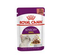 ROYAL CANIN Sensory Smell Wet Cat Food Chunks en Sauce 12 x 85 g