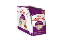 ROYAL CANIN Sensory Taste nourriture humide, morceaux en sauce 12x85g x2