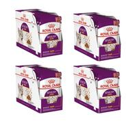 ROYAL CANIN Sensory Taste | Pack de 4 | 4 x 12 x 85 g | Aliment Complet pour Chats Adultes | Profil nutritionnel Optimal