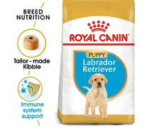ROYAL CANIN SHN Breed Labrador Junior croquettes pour chien - 12 kg.