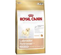 ROYAL CANIN SHN Breed Labrador Junior croquettes pour chien - 12 kg.