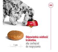 Royal Canin SHN Medium Adult BF 4kg