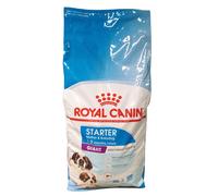 Royal Canin Shn Starter Mother & Babydog Giant Aliment 15 kg