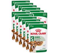 Royal Canin – Mini Ageing 12+ – 12 x 85 g