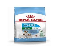 Royal Canin Starter Mini 1 Kg