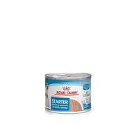Royal Canin Starter Mousse 12 x 195 GR