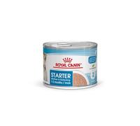 Royal Canin Starter Mousse Mother & Babydog | 12 x 195 g | Nourriture Humide Ultra Soft Mousse | pour chiennes au dernier Tiers de la Gestation et Pendant la période d'allaitement