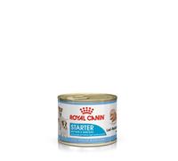 ROYAL CANIN Starter Mousse Mother & Babydog 12x195 g