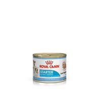 Royal Canin - Boîte Starter Mousse Mother & Babydog en Patée pour Chien - 195g