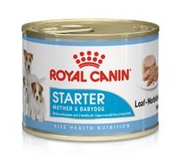 Royal Canin Starter Mother & Babydog Mousse pour chien 195 g