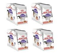Royal Canin Sterilised en Sauce – chats stérilisés 1–7 ans – 12 x 85 g