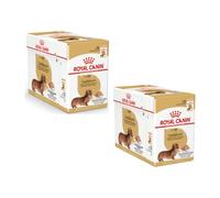 Royal Canin Dachshund Adult Mousse | 12 x 85 g | Aliment Complet pour Chiens | pour teckels Adultes | Peut Aider à protéger Les os et Les articulations