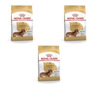 Royal Canin Teckel Adulte | Pack de 3 | 3 x 500 g | Aliment Complet pour Chiens | Spécialement conçu pour Les teckels Adultes | Peut Aider à protéger Les os et Les articulations