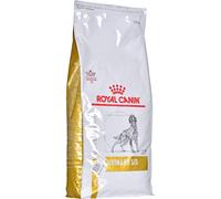 ROYAL CANIN Urinary S/O nourriture sèche pour chiens - 13 kg