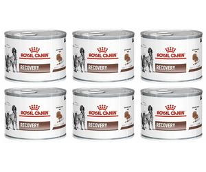 ROYAL CANIN Vet dog/cat recovery 195 g