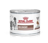 ROYAL CANIN Vet dog/cat recovery: aliments humides pour chiens et chats en période de soins intensifs et après une intervention chirurgicale, pendant la convalescence 24 x 195 g