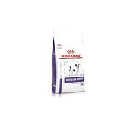 Royal Canin Veterinary Care Nutrition Dog Weight and Dental Neutered Nourriture pour Chien/Chienne Stérilisé de Petite Race