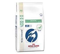 ROYAL CANIN Expert DENTAL | 1,5 kg | Aliment complet pour chats adultes | Pour les sensibilités de la cavité buccale | Pour soutenir la santé dentaire | Complexe contre les boules de poils