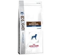 Royal Canin Nourriture Sèche pour Chiens Chiot Gastro-Intestinal, 10 kg
