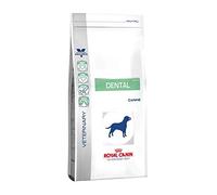 Royal Canin Veterinary Diet Dog Dental Nourriture pour Chien de +10 kg