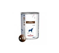 Royal Canin Veterinary Diet Gastro Intestinal nourriture humide