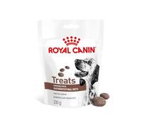 Royal Canin Dog Gastrointestinal Treats 230g friandises pour chiens