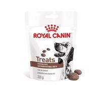 Royal Canin Veterinary Gastro-intestinal Treats | 230 g | Snacks pour Chiens Adultes de Toutes Tailles et Races | dans Un Sac refermable | Faible teneur en matières Grasses