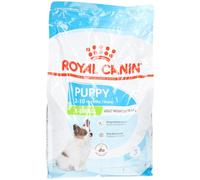 Royal Canin Size Health Nutrition X-Small Puppy 2-10 Mois 3kg