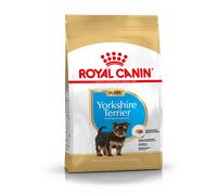 Croquettes Yorkshire Terrier Junior Sac 1,5 kg - Royal Canin