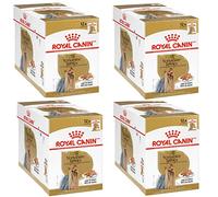Royal Canin Yorkshire Terrier Adult | Pack de 4 | 4 x 12 x 85 g | Nourriture Humide pour Chiens Adultes | A partir de 10 Mois | pour Soutenir Le Pelage et la qualité des selles