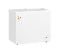 Royal Catering RCFGDF-200 Congélateur 200 l avec portes en verre verrouillables Grand format