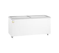 Royal Catering RCFGDF-550 Congélateur 550 l avec portes en verre verrouillables Grand format
