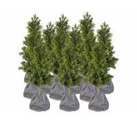 Royal Gardineer 12 housses d’hivernage pour pot de fleur - 50 x 45 cm - Anthracite