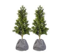 Royal Gardineer 2 housses d’hivernage pour pot de fleur - 40 x 40 cm - Anthracite