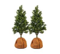 Royal Gardineer 2 housses d’hivernage pour pot de fleur - 40 x 40 cm - Marron