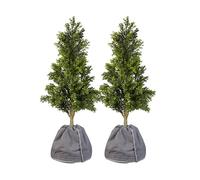 Royal Gardineer 2 housses d’hivernage pour pot de fleur - 50 x 45 cm - Anthracite