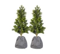 Royal Gardineer 2 housses d’hivernage pour pot de fleur - 70 x 65 cm - Anthracite