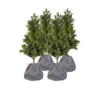 Royal Gardineer 4 housses d’hivernage pour pot de fleur - 50 x 45 cm - Anthracite
