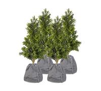 Royal Gardineer 4 housses d’hivernage pour pot de fleur - 70 x 65 cm - Anthracite